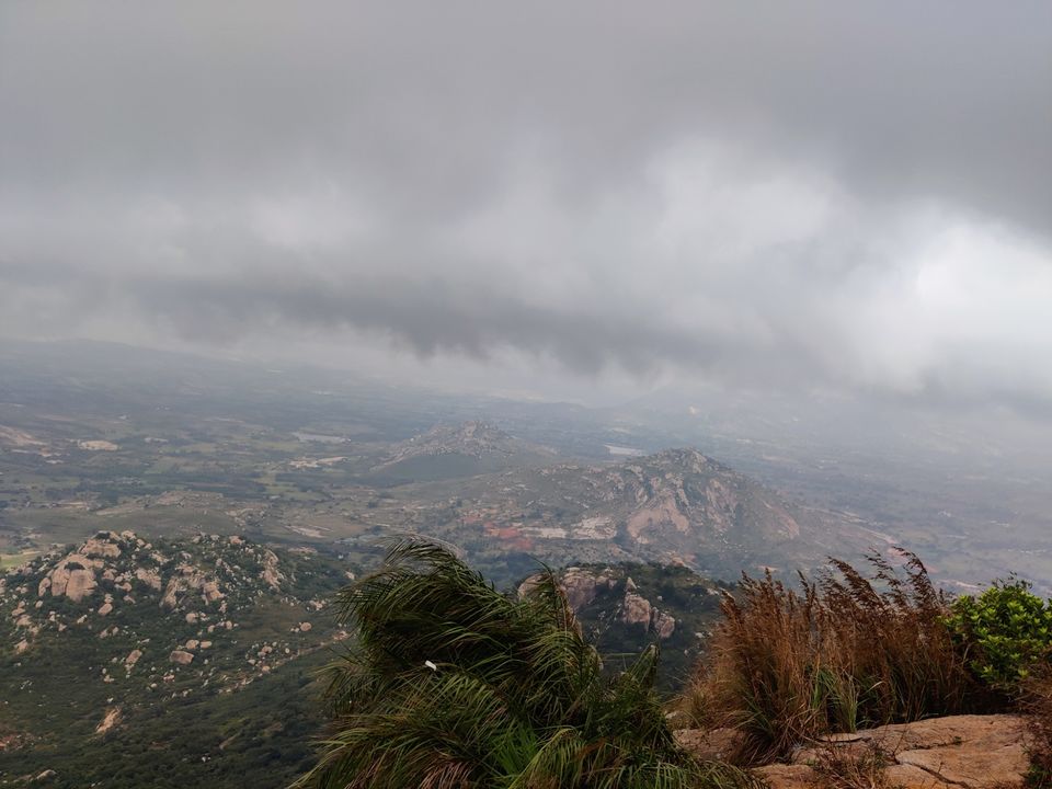 Photo of Windy and Foggy Drive to Ooty of Andhra: Horsely Hills by Jincy Jacob