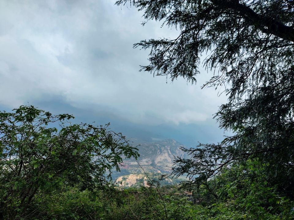 Photo of Windy and Foggy Drive to Ooty of Andhra: Horsely Hills by Jincy Jacob