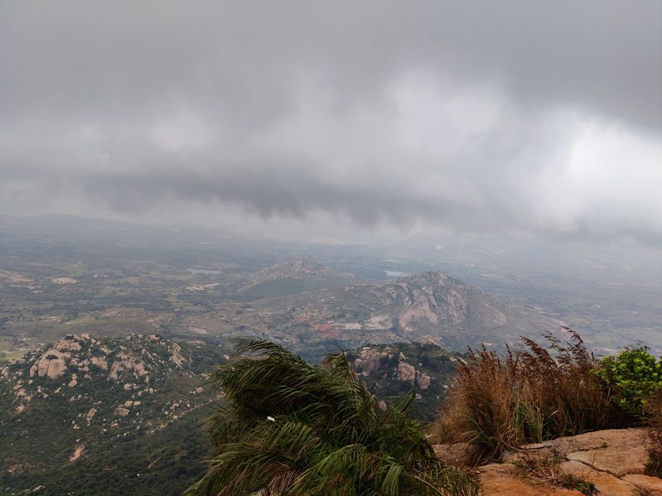 Photo of Windy and Foggy Drive to Ooty of Andhra: Horsely Hills by Jincy Jacob