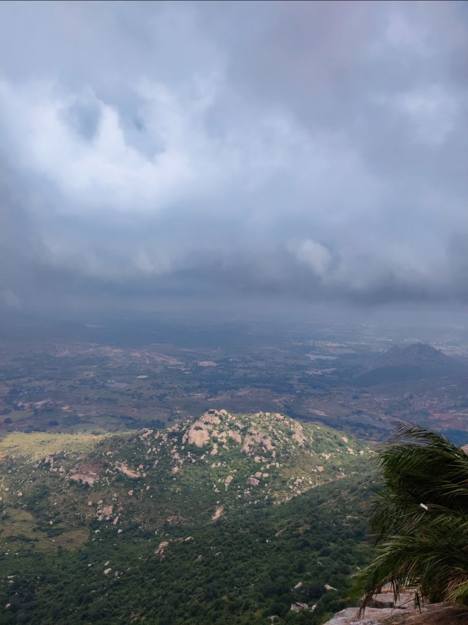 Photo of Windy and Foggy Drive to Ooty of Andhra: Horsely Hills by Jincy Jacob