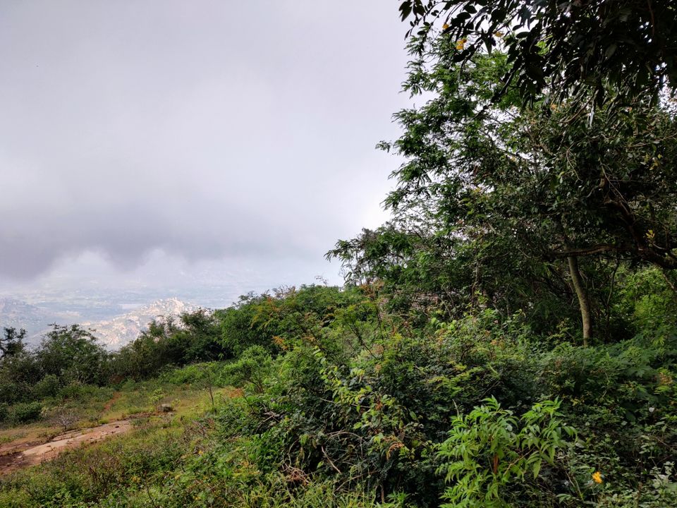 Photo of Windy and Foggy Drive to Ooty of Andhra: Horsely Hills by Jincy Jacob