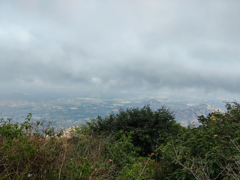 Photo of Windy and Foggy Drive to Ooty of Andhra: Horsely Hills by Jincy Jacob