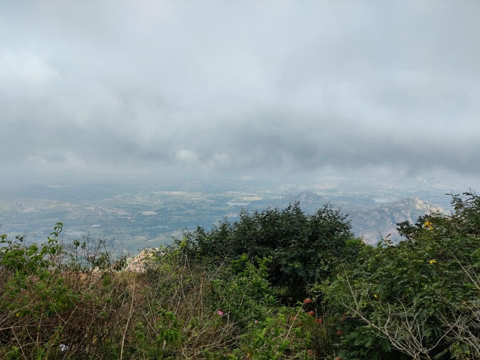 Photo of Windy and Foggy Drive to Ooty of Andhra: Horsely Hills by Jincy Jacob