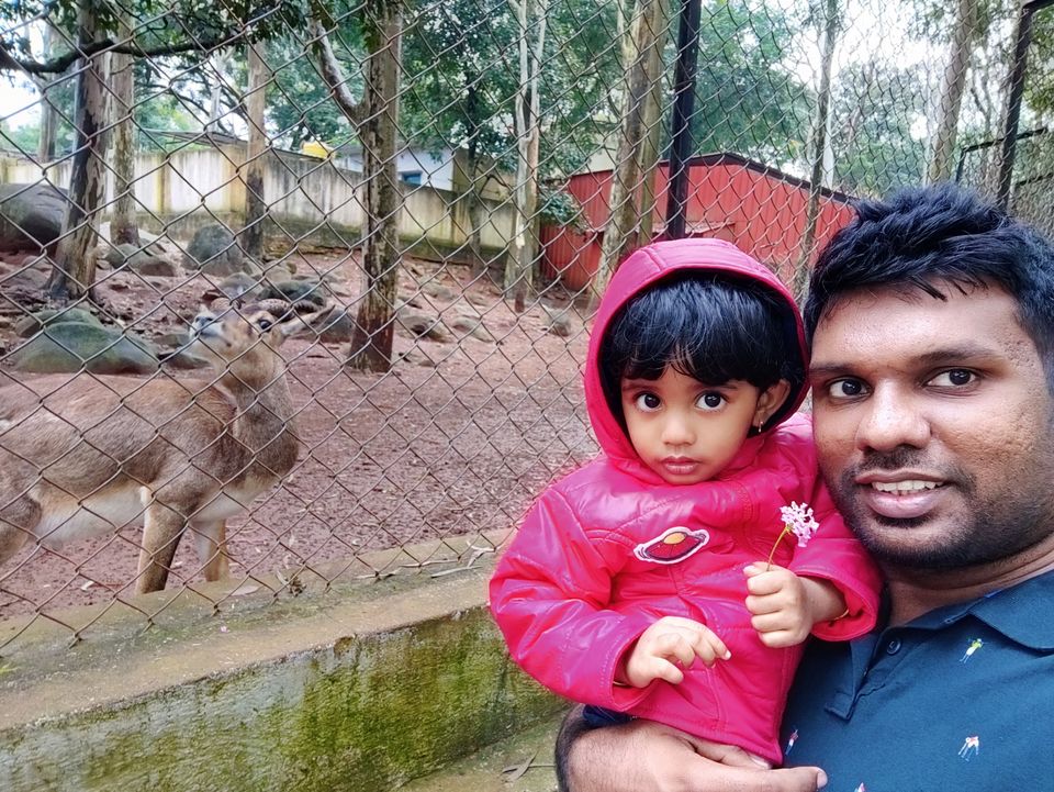 Photo of Horsley Hill Zoo by Jincy Jacob