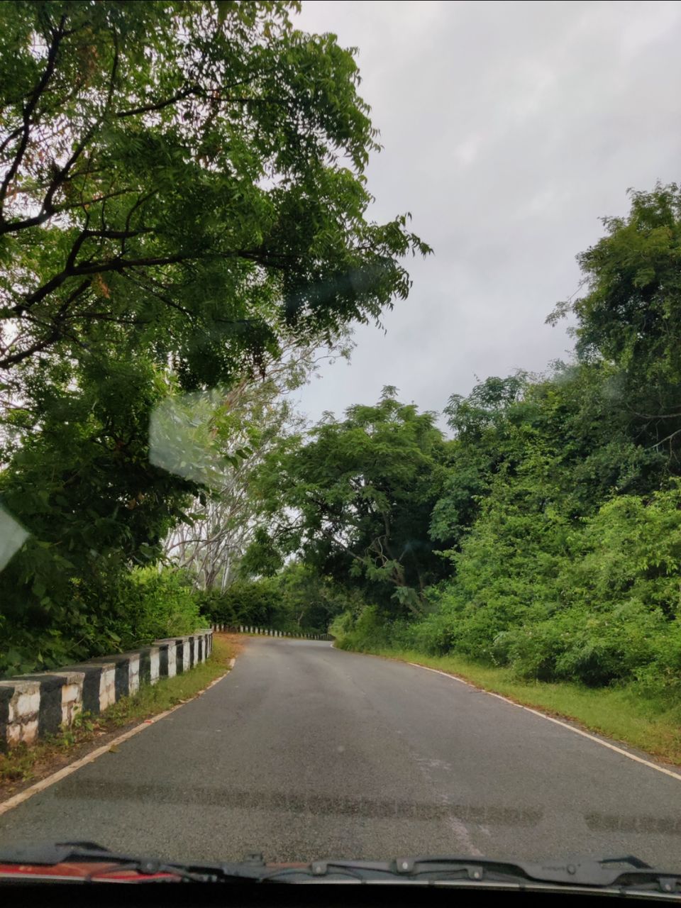Photo of Windy and Foggy Drive to Ooty of Andhra: Horsely Hills by Jincy Jacob