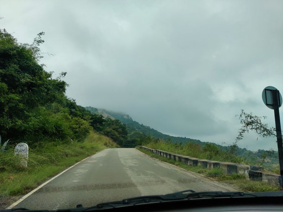 Photo of Windy and Foggy Drive to Ooty of Andhra: Horsely Hills by Jincy Jacob