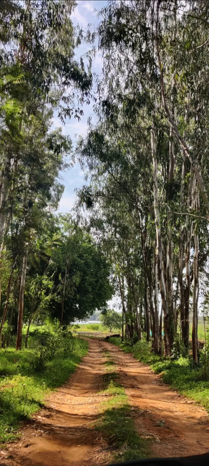 Photo of Can You Believe We Found This Hidden Gem Near Bengaluru! by Jincy Jacob