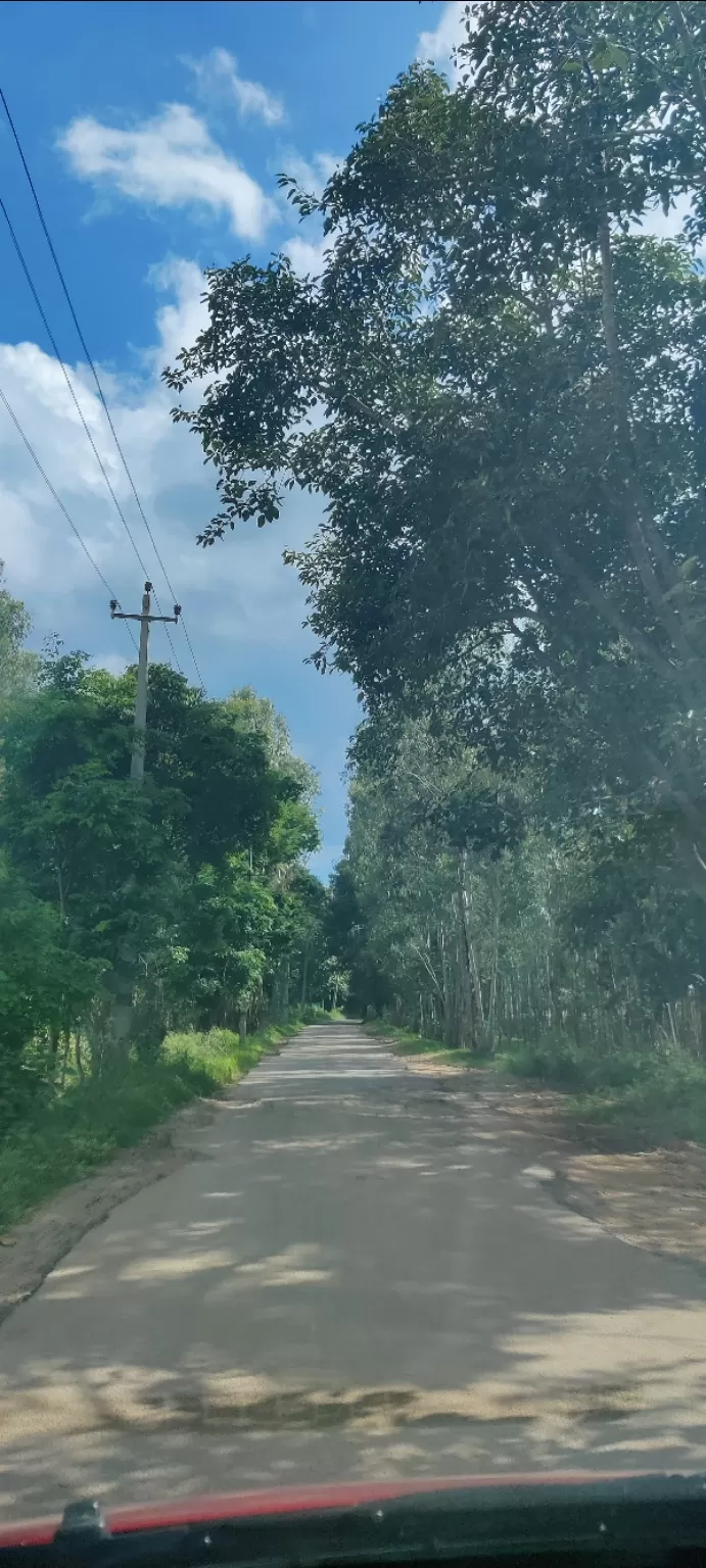 Photo of Can You Believe We Found This Hidden Gem Near Bengaluru! by Jincy Jacob