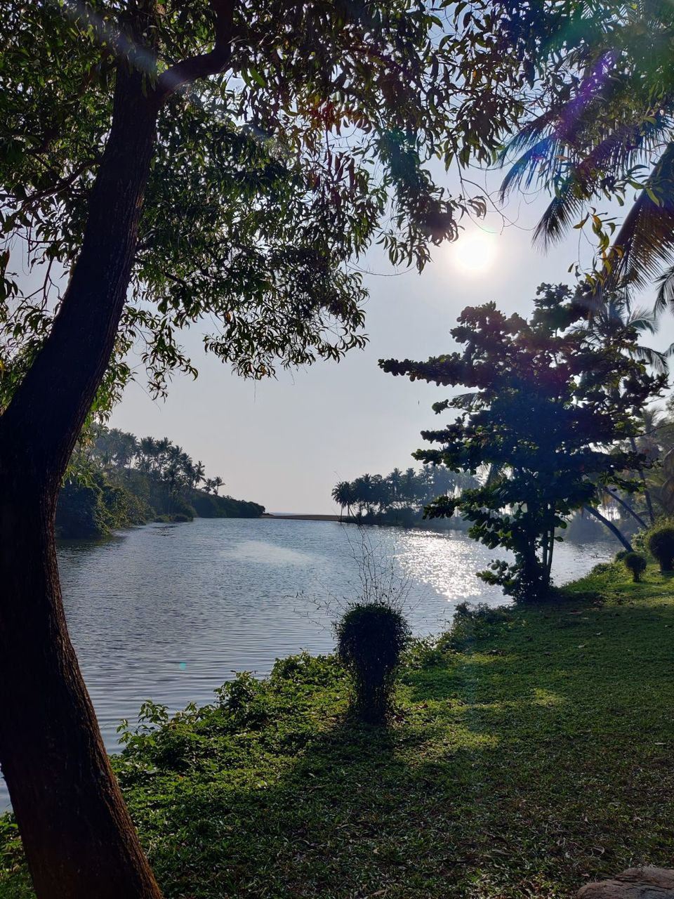 Photo of When the 300 kms drive from Bangalore was worth it. by Jincy Jacob