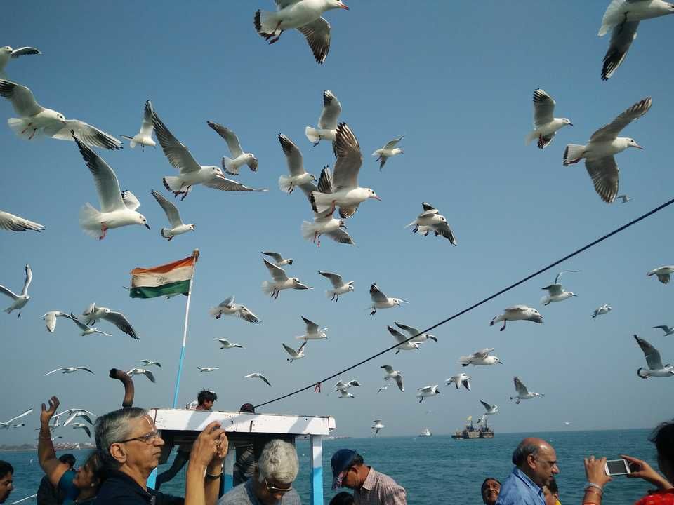 Photo of Bet Dwarka, Gujarat by Jhelum Kaushal