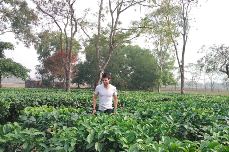 Photo of Sapoi Tea Farms 1914 (Heritage Home), Bhutiaali Gaon, Assam, India by Jhelum Kaushal