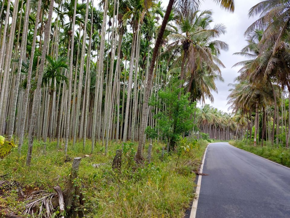 Photo of Shivamogga, Karnataka, India by Jhelum Kaushal
