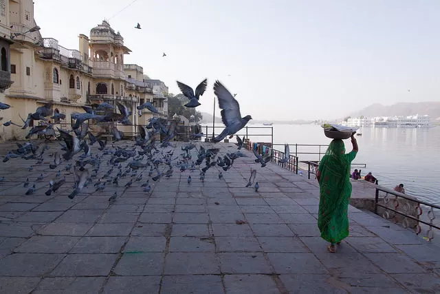 Photo of Udaipur, Rajasthan, India by Jhelum Kaushal