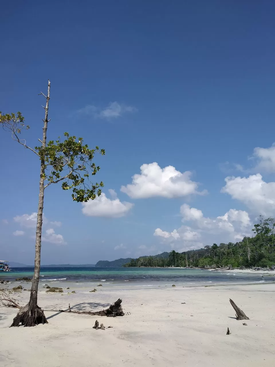 Photo of Elephant Beach, Port Blair, Andaman and Nicobar Islands, India by Jhelum Kaushal