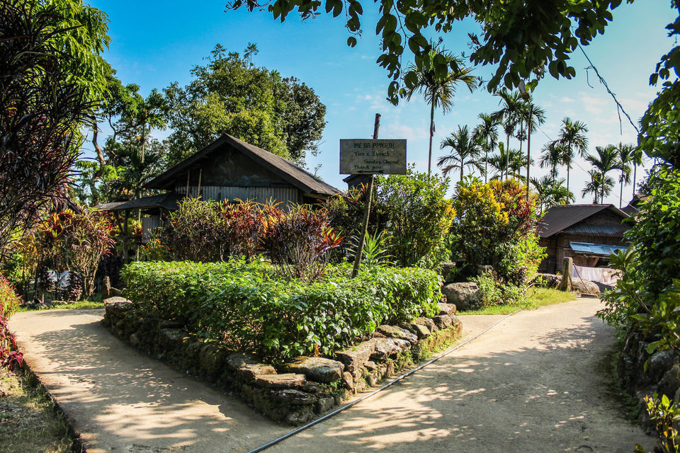Photo of Mawlynnong - Cleanest Village, Mawlynnong, Meghalaya, India by Jhelum Kaushal