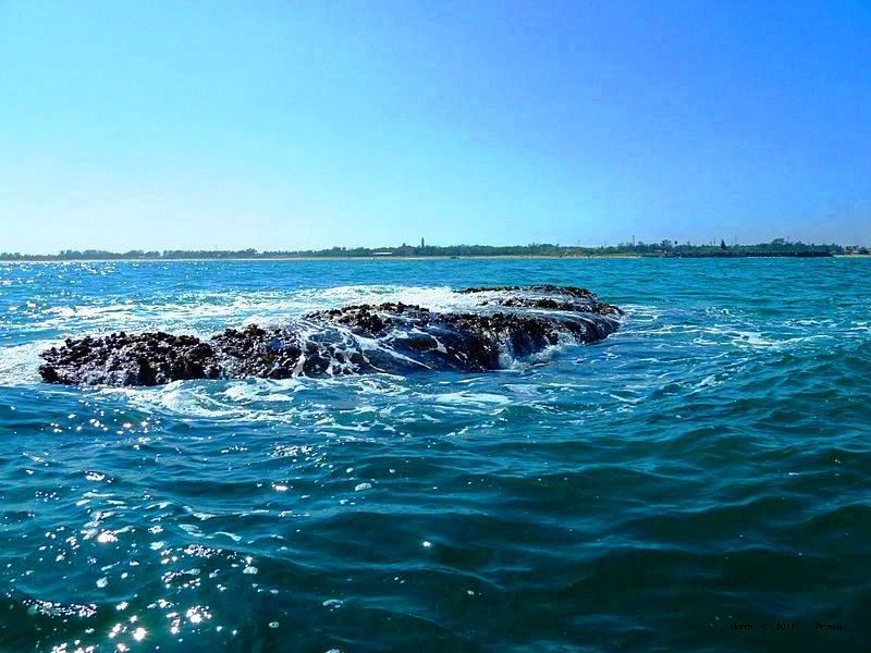Photo of મહાબલીપુરમ: ઇતિહાસ, દરિયાકિનારો, ગુફાઓ અને લાઈટહાઉસ by Jhelum Kaushal