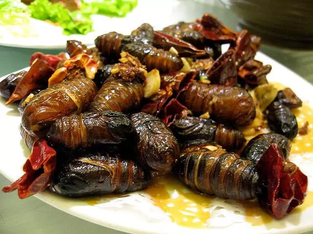 Photo of Assam, India by Jhelum Kaushal