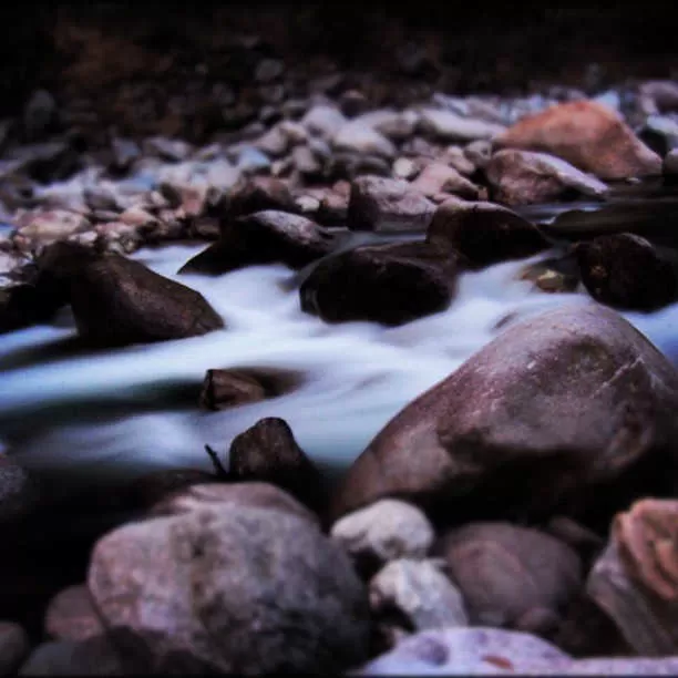 Photo of Gushaini, Himachal Pradesh, India by Jhelum Kaushal