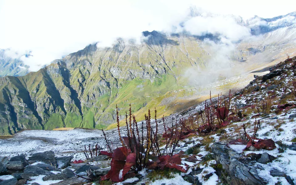 Photo of Nanda Devi, Chamoli, Uttarakhand by Jhelum Kaushal