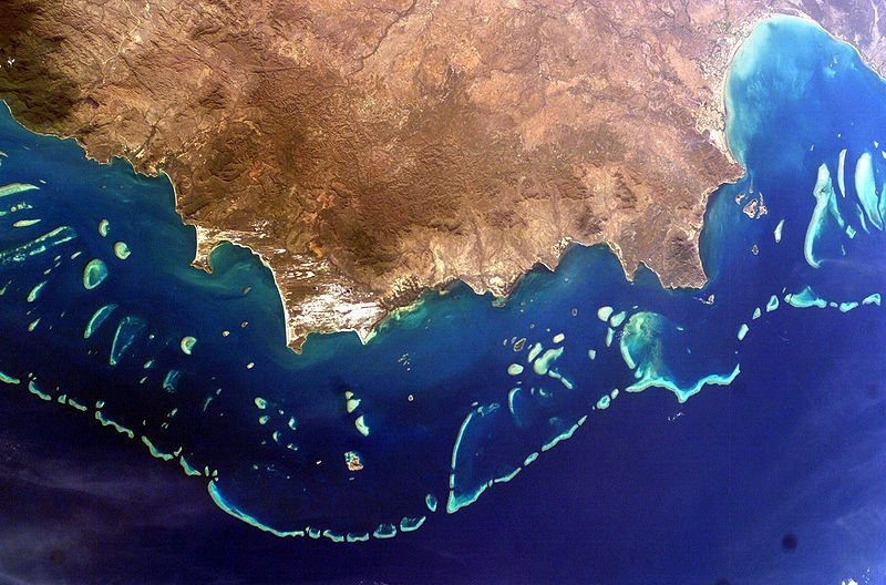 Photo of વિશ્વની સૌથી શ્રેષ્ઠ કોરલ રિફ (પરવાળાના ખડક)ને મૃત ઘોષિત કરી દેવામાં આવી છે - કારણ? ગ્લોબલ વૉર્મિંગ! by Jhelum Kaushal