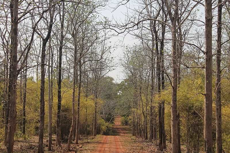 Photo of તમારા બાળપણમાં ફેવરિટ પુસ્તકોમાંના 12 ડેસ્ટિનેશન જે છે હકીકત! by Jhelum Kaushal