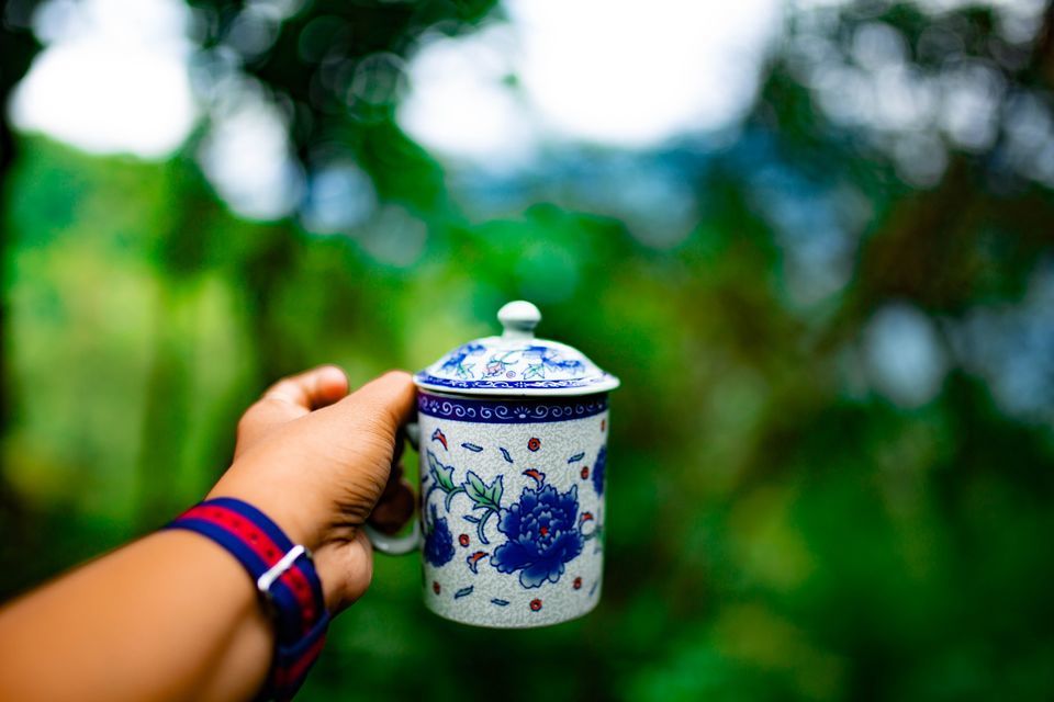 Photo of માણો મજા સિક્કિમના જંગલોમાં છુપાયેલા આ અદભુત રિસોર્ટમાં by Jhelum Kaushal