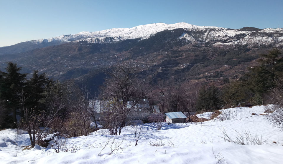 Photo of Patnitop by Jhelum Kaushal