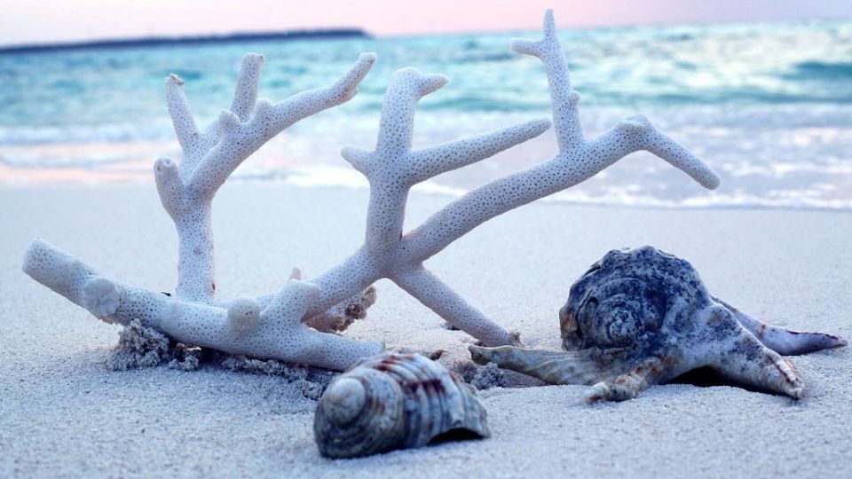 Photo of Lakshadweep, India by Jhelum Kaushal