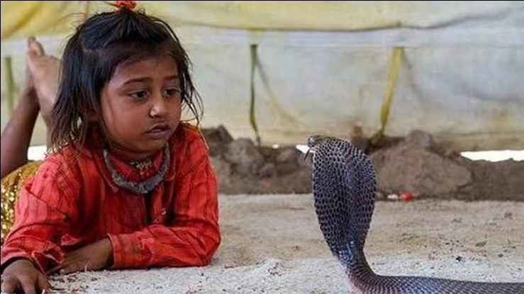 Photo of ભારતના 10 વિચિત્ર ગામડાઓ જેના વિષે તમે નહિ સાંભળ્યું હોય! 3/11 by Jhelum Kaushal