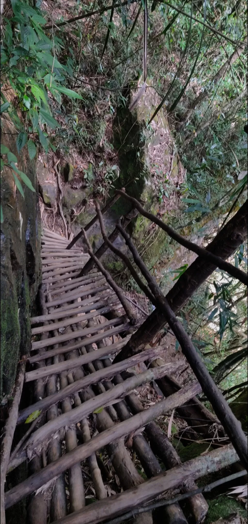 Photo of Meghalaya - A hidden jewel! by Bhavya shetty