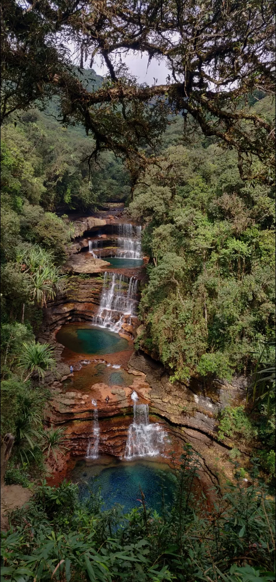 Photo of Meghalaya - A hidden jewel! by Bhavya shetty
