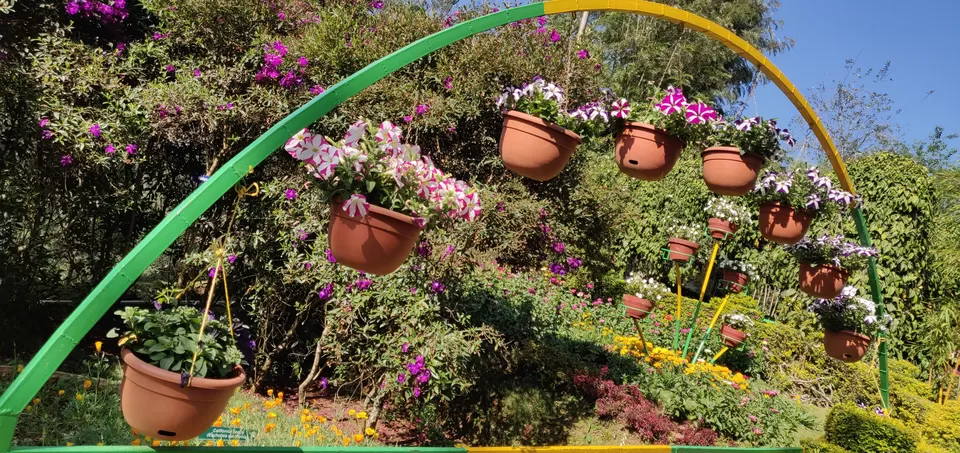 Photo of Munnar Botanical Garden, Munnar, Kerala, India by Bhavya shetty