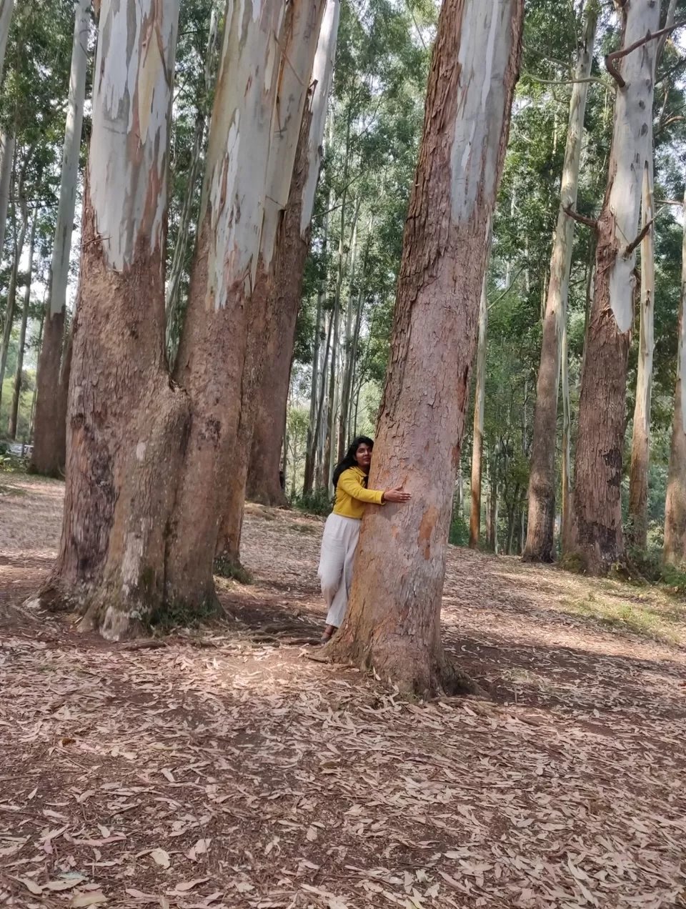 Photo of Echo Point, Kannan Devan Hills, Kerala, India by Bhavya shetty