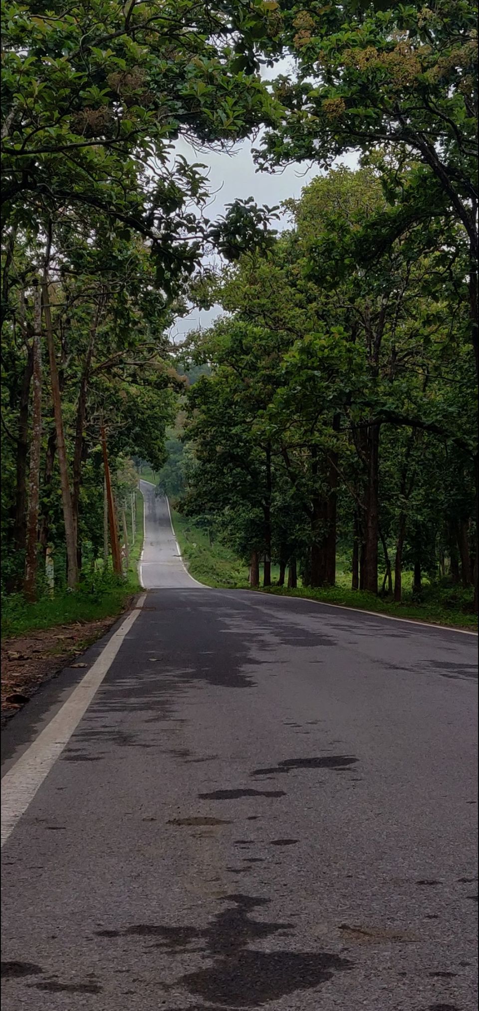 Photo of Wayanad - Monsoon feels calling! by Bhavya shetty