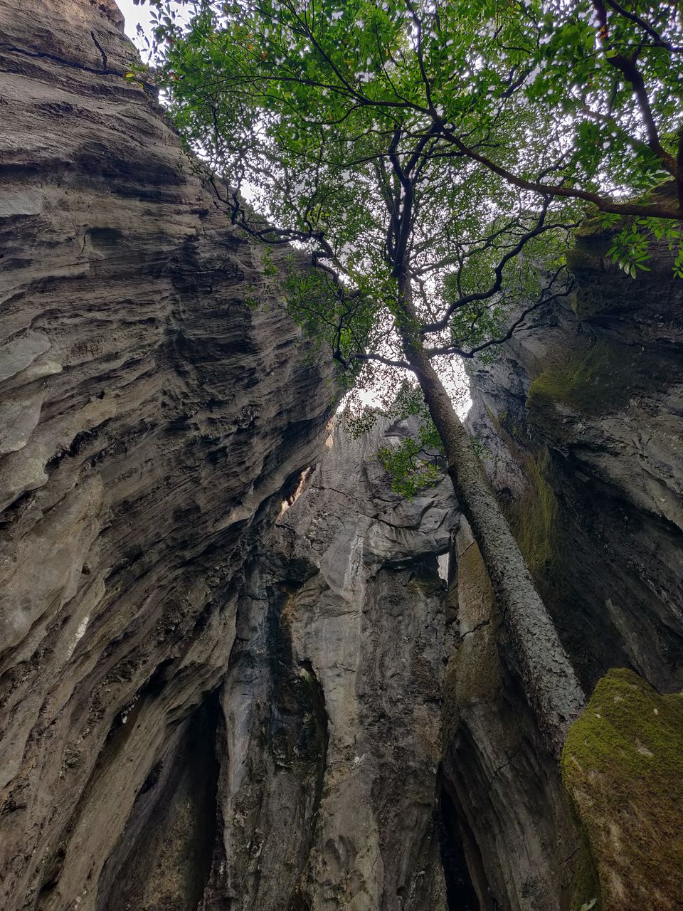 Photo of Yana Caves - Murudeshwar - A Trek Ride Along #unexploredcaves #Trek #shivastatue #Karnataka by Bhavya shetty