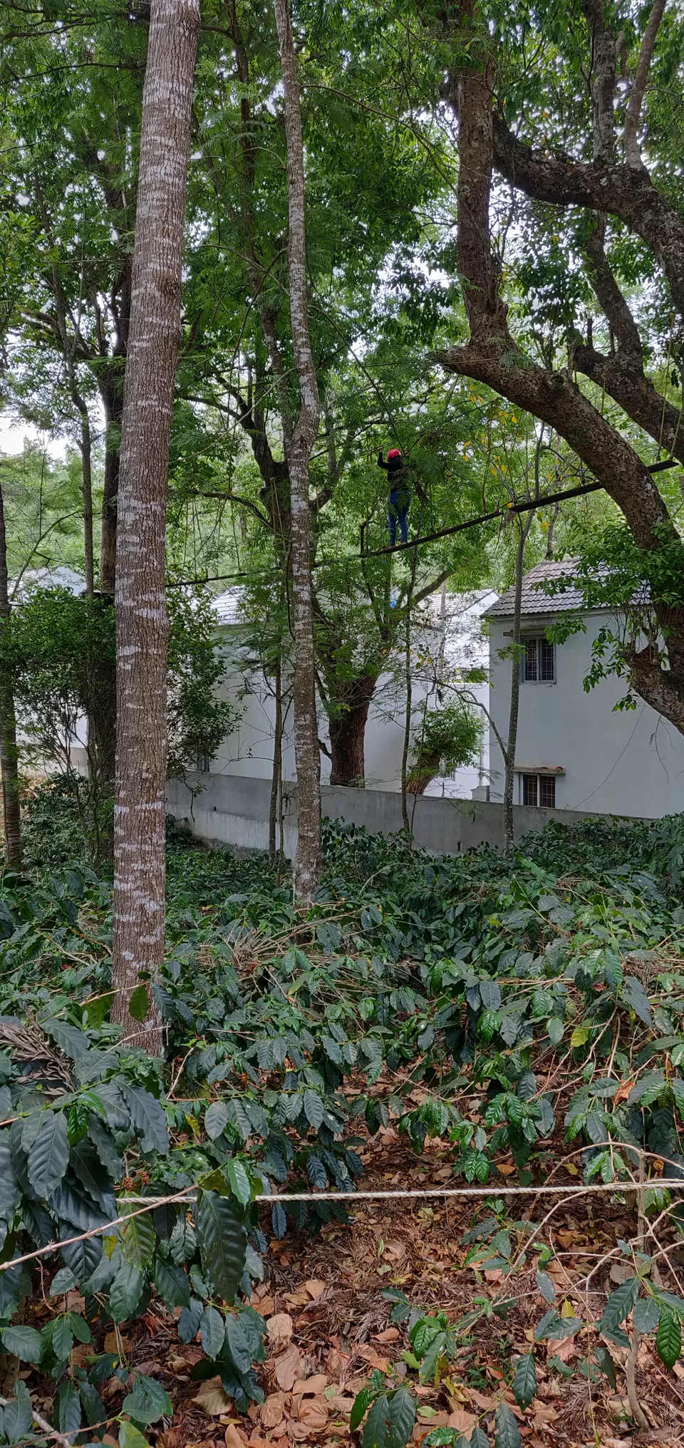 Photo of Grange TreeTop Adventure, near Cock Burn Road, Yercaud, Tamil Nadu, India by Bhavya shetty
