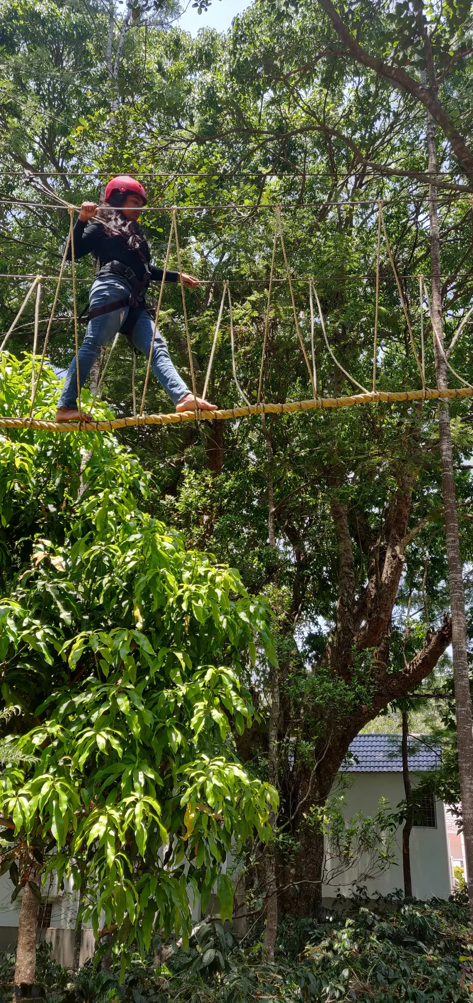 Photo of Grange TreeTop Adventure, near Cock Burn Road, Yercaud, Tamil Nadu, India by Bhavya shetty