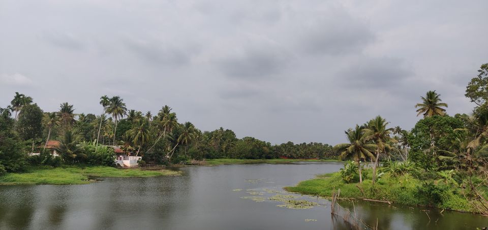 Photo of Kochi - Dashing Culture! by Bhavya shetty
