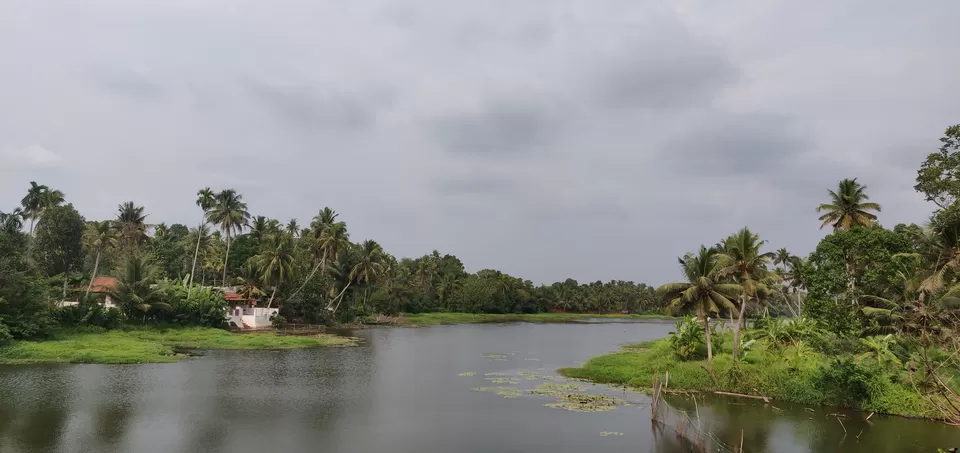 Photo of Kochi - Dashing Culture! by Bhavya shetty