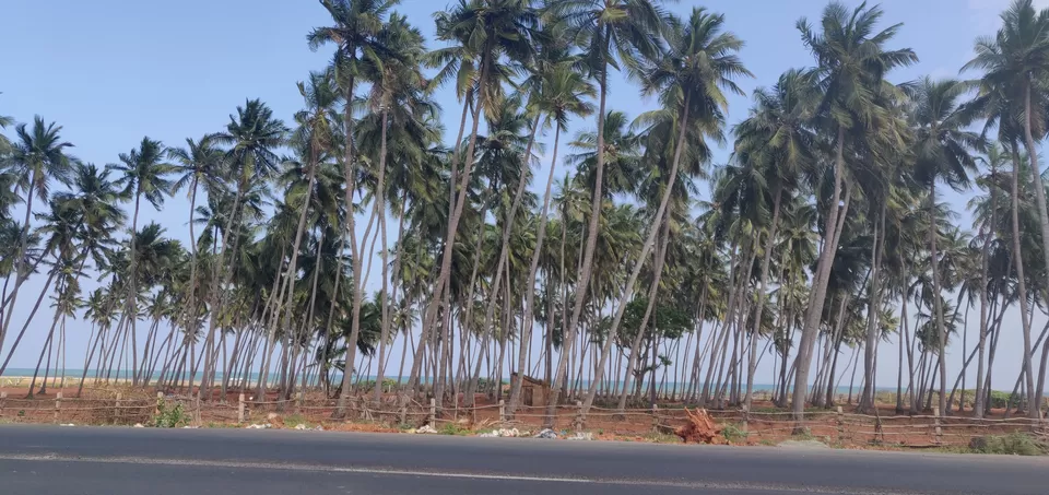 Photo of Promenade Paradise Pondicherry - A walk- through by Bhavya shetty