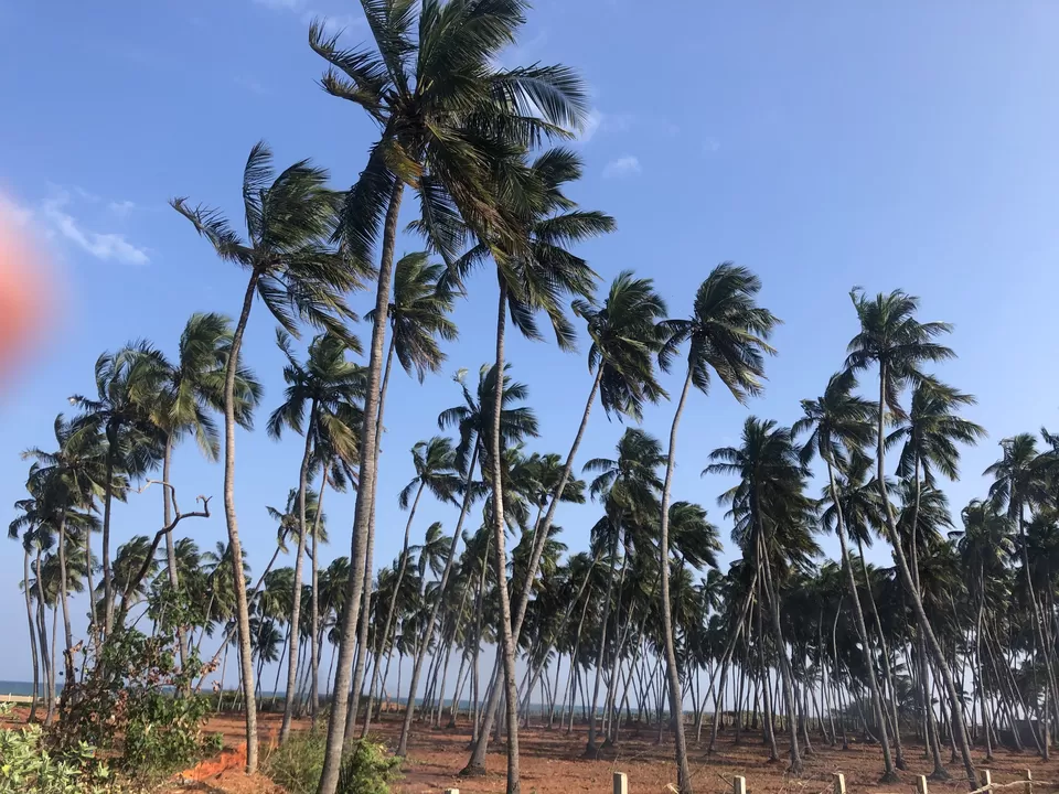 Photo of Promenade Paradise Pondicherry - A walk- through by Bhavya shetty
