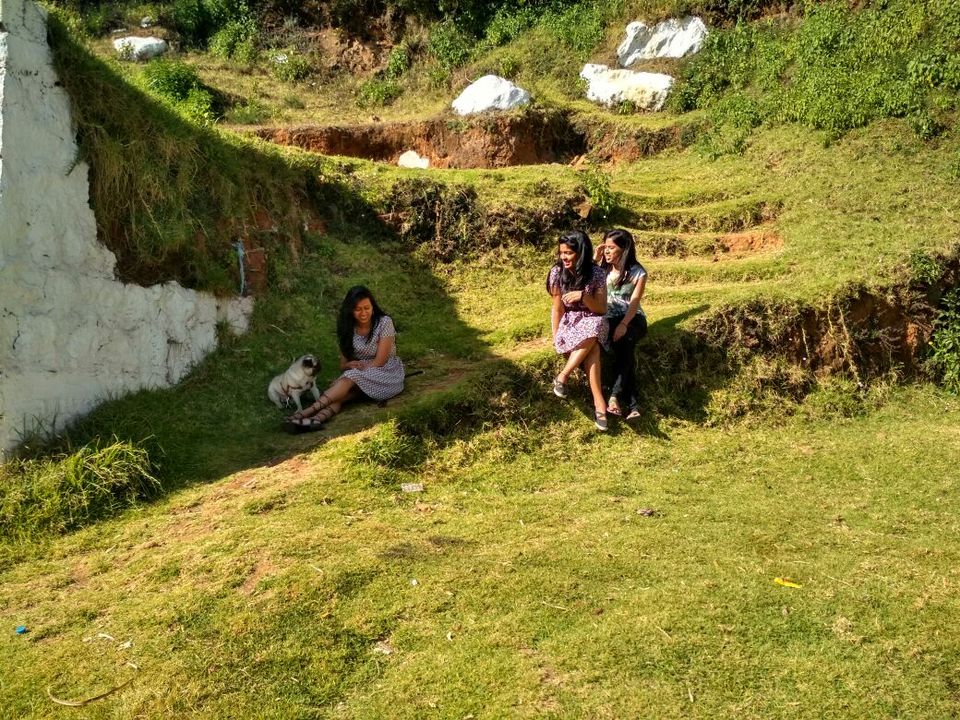 Photo of Ooty - Escape in the Nilgiris #roadtrip 2/2 by Bhavya shetty