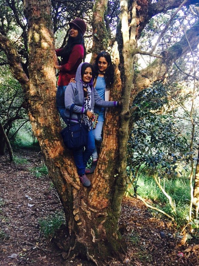 Photo of Ooty - Escape in the Nilgiris #roadtrip by Bhavya shetty