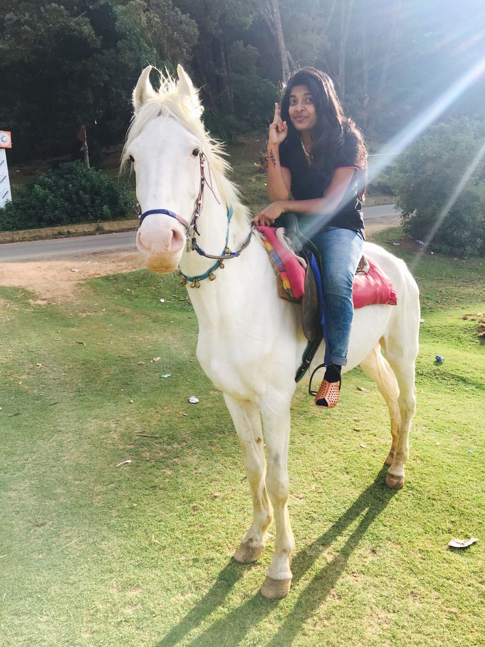 Photo of Ooty - Escape in the Nilgiris #roadtrip by Bhavya shetty