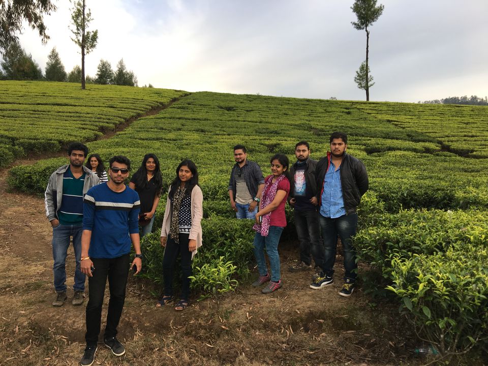 Photo of Ooty - Escape in the Nilgiris #roadtrip by Bhavya shetty