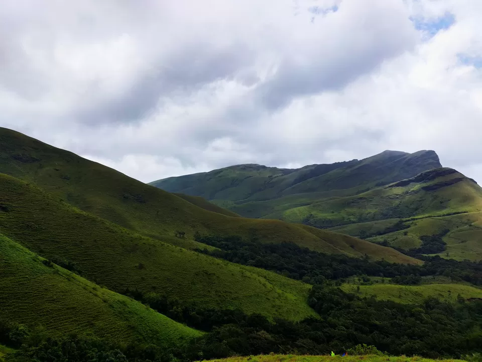 Photo of Kudremukh, Karnataka, India by Bhavya shetty