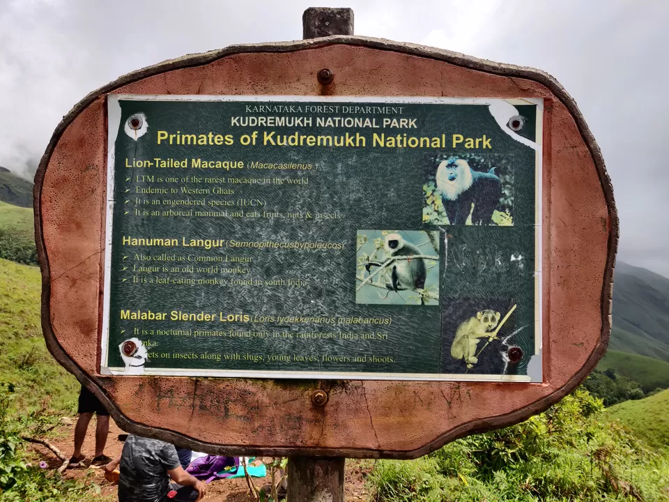 Photo of Kudremukh Peak Top, Mullodi, Karnataka, India by Bhavya shetty
