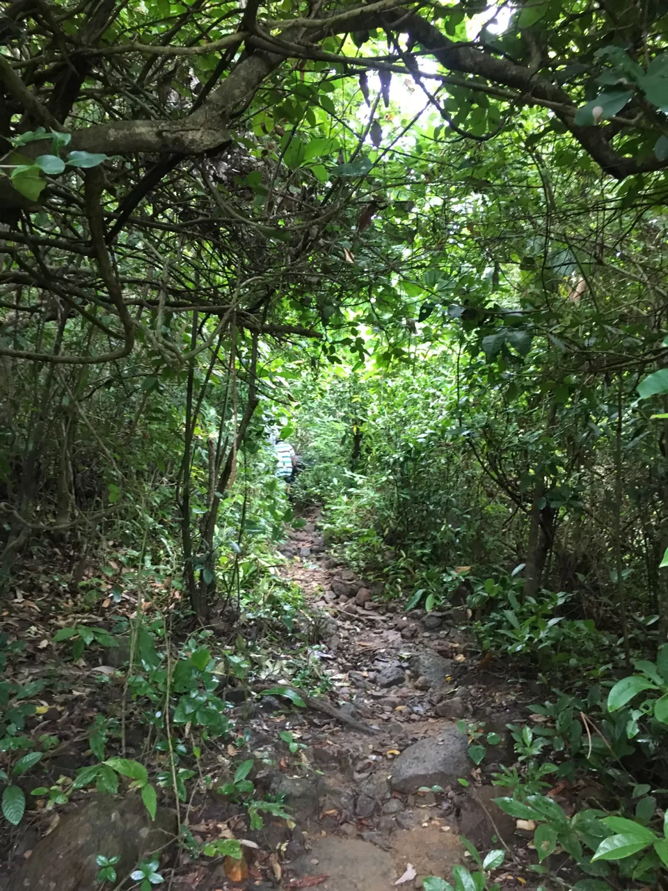 Photo of Canacona, Goa, India by Vinnie Singh