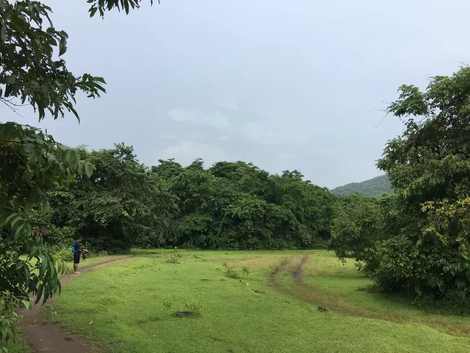 Photo of Canacona, Goa, India by Vinnie Singh