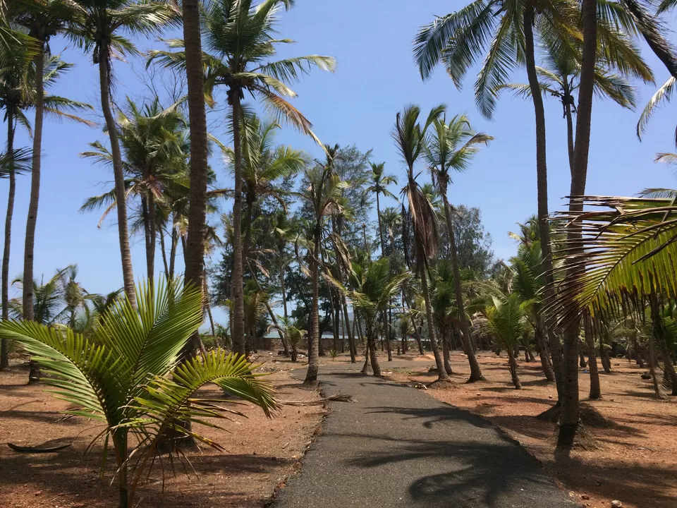 Photo of Agonda, Agonda, Goa 403702, India by Vinnie Singh